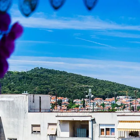 Dragica Σπλιτ